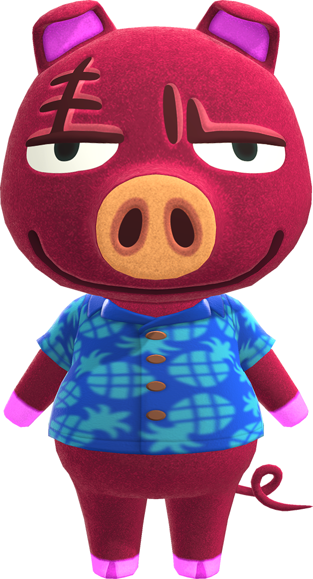 Rasher - Animal Crossing character